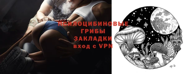 винт Верея