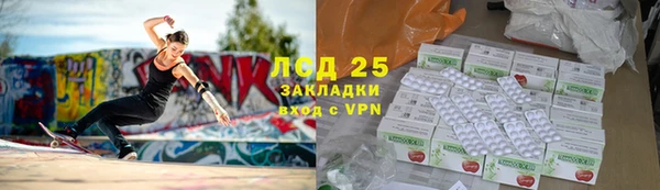 винт Верея