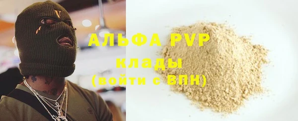 винт Верея