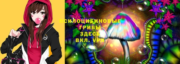 винт Верея